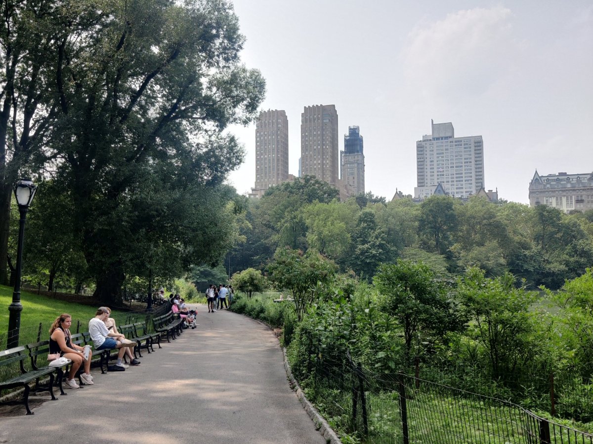 New Yorkin luontoa häämatkalaisen&nbsp;silmin